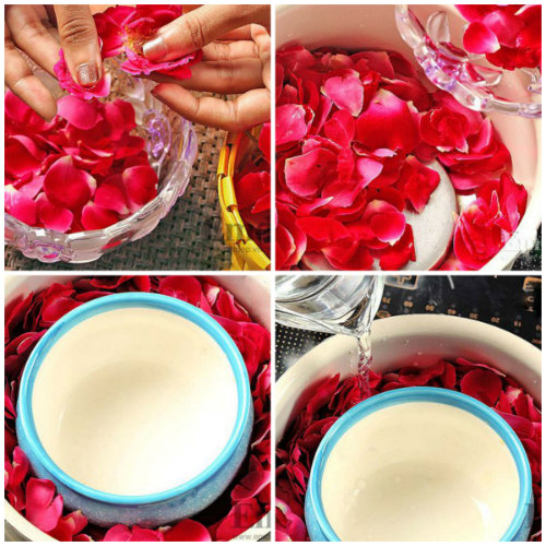 cach lam nuoc hoa hong - Nguyên liệu làm nước hoa hồng tại nhà